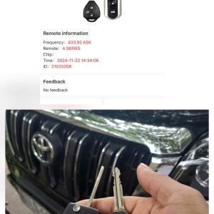 Toyota Prado + Corolla sóng 433